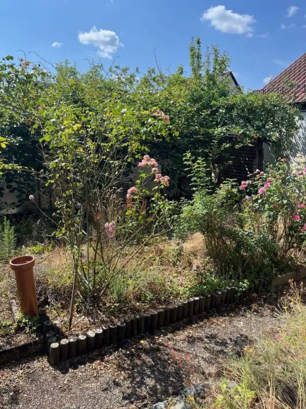 Immobilie in Schaafheim - Einfamilienhaus im Dornröschenschlaf in Schaafheim-Mosbach - Bild 3