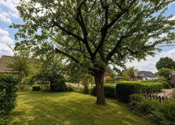 Immobilie in Hörstel - Viel Platz, flexible Nutzung, Wintergarten und 3 nutzbare Wohneinheiten in Hörstel - Bild 2