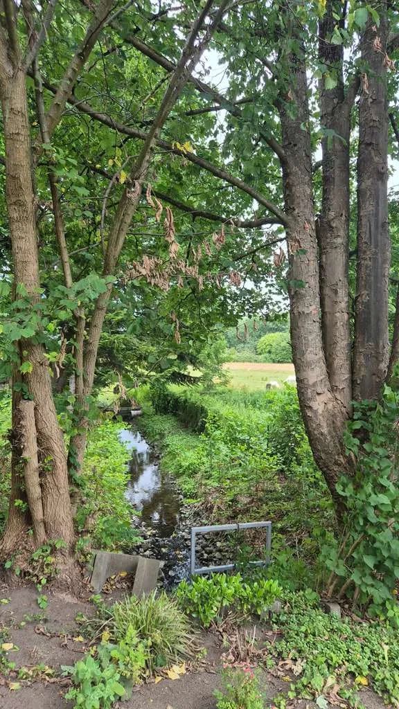 Immobilie in Bordesholm - Seltene Gelegenheit: 3-Zimmer-ETW in Alt-Bordesholm! - Bild 1