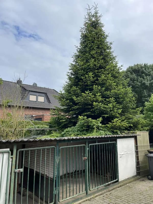 Immobilie in Kempen - Charmantes freistehendes Einfamilienhaus - Ein Haus mit Seele und großem Potenzial - Bild 2