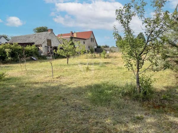 Immobilie in Uebigau-Wahrenbrück - Modernisiertes Einfamilienhaus mit Wärmepumpe und großem Grundstück - Bild 2
