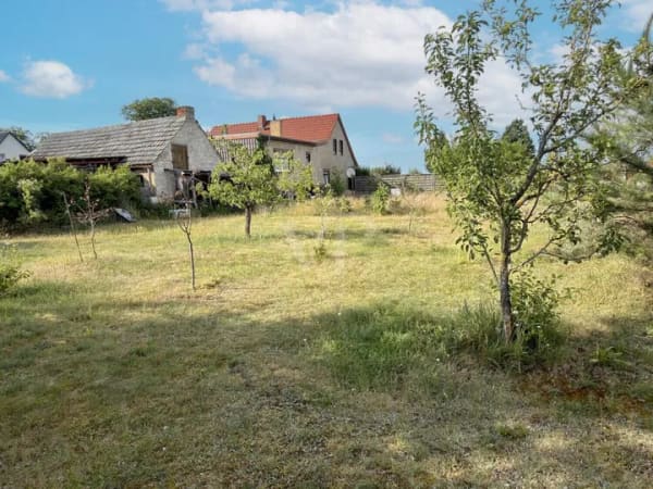 Immobilie in Uebigau-Wahrenbrück - Einfamilienhaus freistehend in Uebigau-Wahrenbrück / Winkel (Uebigau-Wahrenbrück) - Bild 3