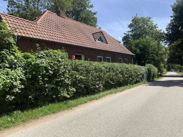 Immobilie in Schashagen - Charmantes Landhaus nahe der Ostsee bezugsfertig - Bild 2