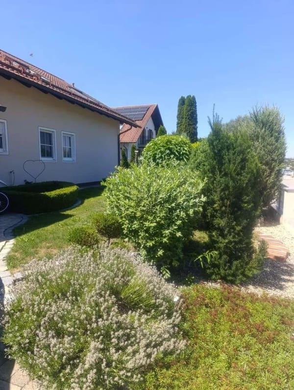 Immobilie in Wildenberg - Zweifamilienhaus mit 302 m² Wohnfläche in Wildenberg - Bild 3