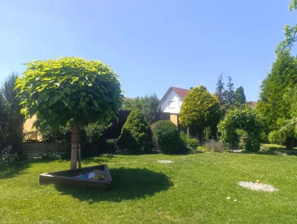 Immobilie in Wildenberg - Zweifamilienhaus mit 302 m² Wohnfläche in Wildenberg - Bild 4