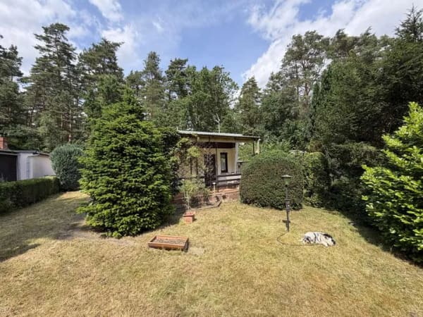 Immobilie in Kemberg - Gepflegtes Wochenendgrundstück mit Bungalow in ruhiger Waldlage - Bild 3