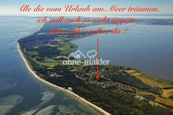 Immobilie in Zempin - Einfamilienhaus freistehend in Zempin - Bild 0
