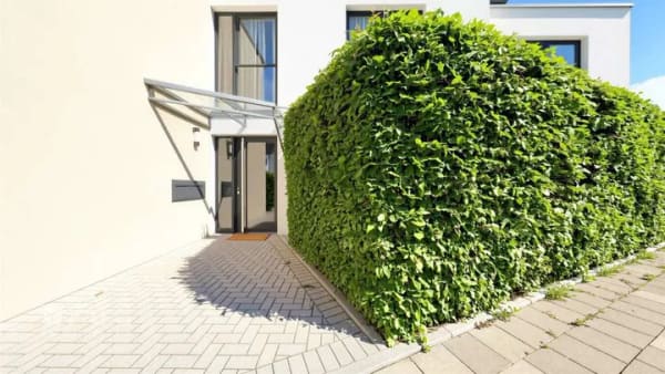 Immobilie in Korschenbroich - Zweifamilienhaus in Kleinenbroich - Bild 1