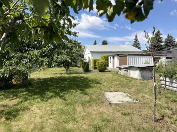 Immobilie in Lauchhammer - Einfamilienhaus freistehend in Lauchhammer - Bild 3
