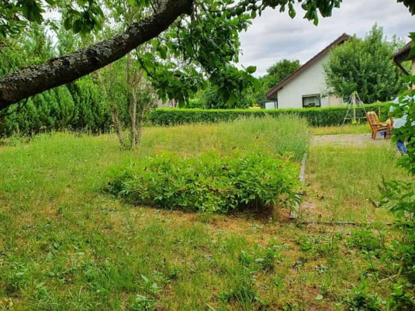 Immobilie in Krautheim - Wohnraum mit Perspektive – Einfamilienhaus mit Einliegerwohnung, Garten und zwei Garagen - Bild 4