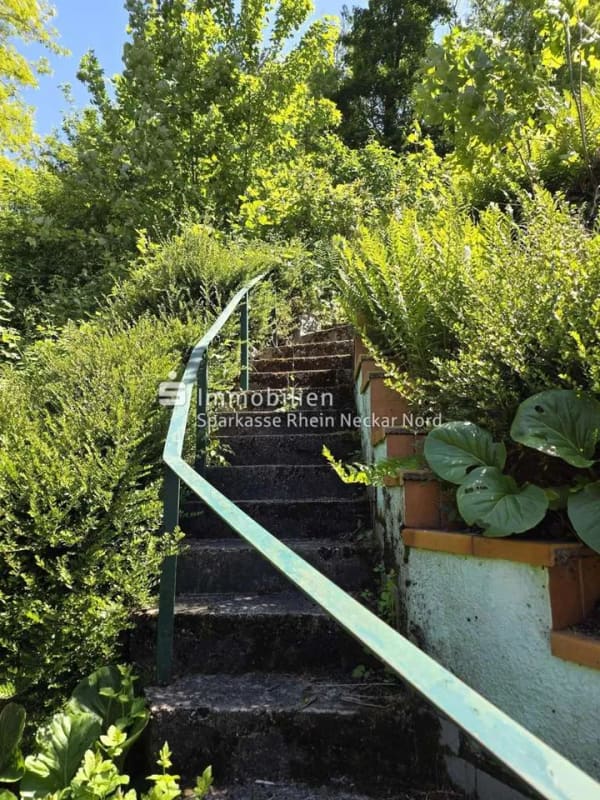 Immobilie in Weinheim - Naturverbunden wohnen in Weinheim-Sulzbach - Bild 2