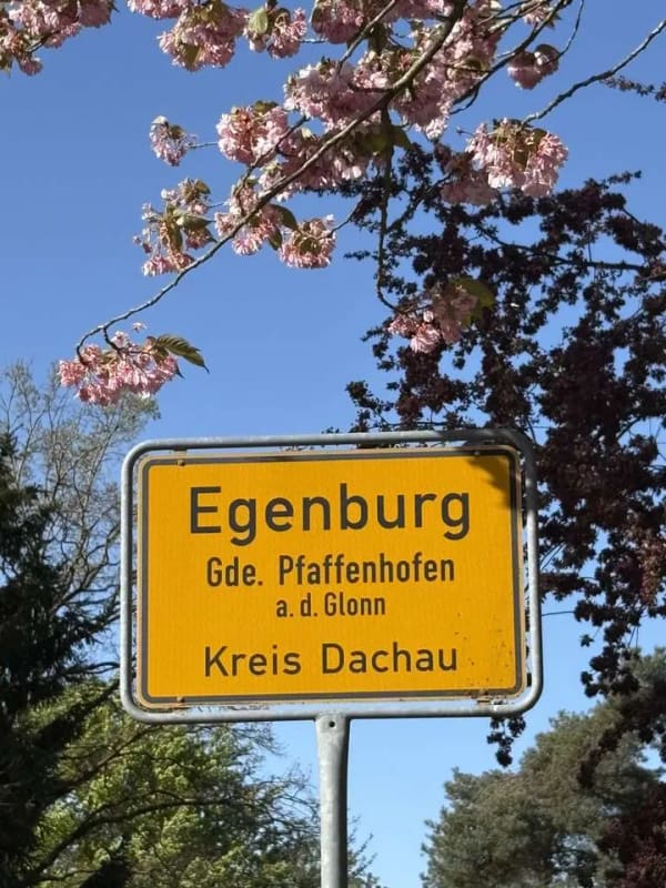 Immobilie in Pfaffenhofen an der Glonn - Modernes EFH in ruhiger Lage – Perfekt für Familie, Homeoffice & Pendler - Bild 4