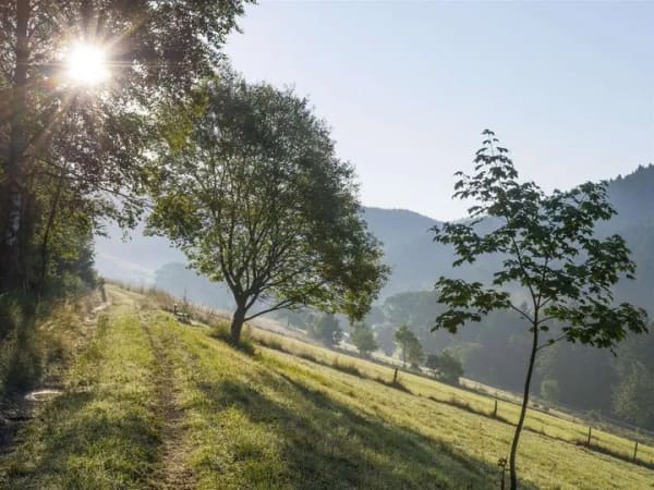 Immobilie in Schmallenberg - / Eigentumswohnung im idyllischen Sauerland! - Bild 0
