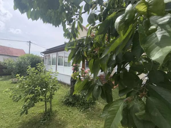 Immobilie in Großrudestedt - Einfamilienhaus in Großrudestedt zu verkaufen - Bild 3