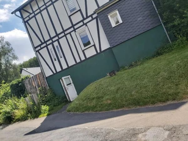 Immobilie in Freudenberg - Zweifamilienhaus Freudenberg-Niederndorf - Bild 0