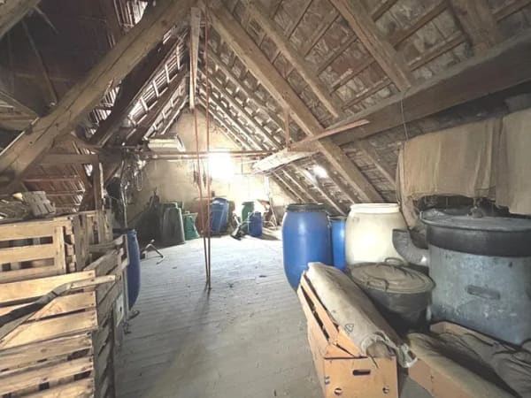Immobilie in Eichstetten - Mehrfamilienhaus in Eichstetten am Kaiserstuhl (Eichstetten) - Bild 4