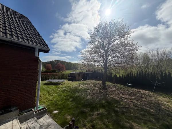 Immobilie in Dobersdorf - Einfamilienhaus mit Potenzial in idyllischer Feldrandlage! - Bild 4