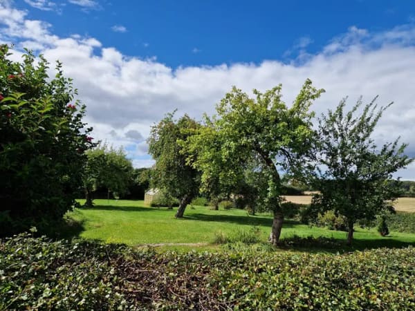 Immobilie in Bosau - Einfamilienhaus mit großem Grundstück - Bild 2