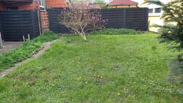 Immobilie in Nesse-Apfelstädt - Haus und Garten für die kleine Familie.- 20 Min. bis Erfurt Altstadt - Bild 4