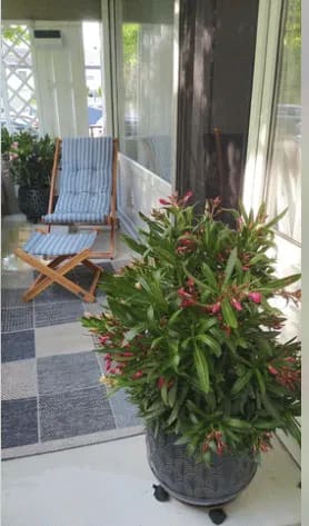 Immobilie in Schwebheim - Atraktive, beziehbare, gepflegte und renovierte Wohnung in Toplage mit Ausblick ins Grüne in Schwebheim - Bild 3