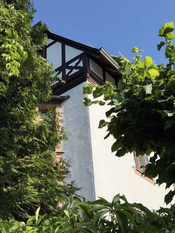 Immobilie in Altmittweida - Denkmalgeschützte Villa - VOLL VERMIETET - in bester Lage von Mittweida (Hochschulstadt) - Bild 2
