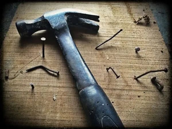 Immobilie in Haselau - EIN HAUS IN VOLLENDETER PERFEKTION - Bild 0