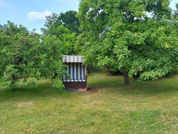 Immobilie in Dahlenburg - Großzügiges Einfamilienhaus mit Wintergarten auf 1456 m² Grundstück in ruhiger Sackgassenlage - Bild 4