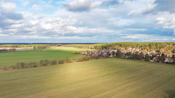 Immobilie in Trebbin - DERZEIT VERMIETET - ERSTKLASSIGES 4 ZIMMER EINFAMILIENHAUS AUF CA. 617m² GROßEM SONNENGRUNDSTÜCK - Bild 3