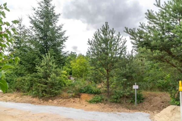 Immobilie in Neupetershain - Idyllische Zuhause am Waldrand - Doppelhaushälfte mit Charme - Bild 1