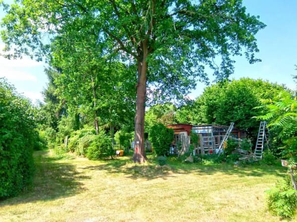 Immobilie in Waldhufen - Wochenendgrundstück mit Gartenlaube - nahe Niesky - Bild 1