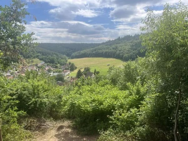 Immobilie in Breuberg - Sonnig - Ruhig - Ausblick inklusive
EFH in Breuberg sucht neuen Besitzer mit grünem Daumen - Bild 0