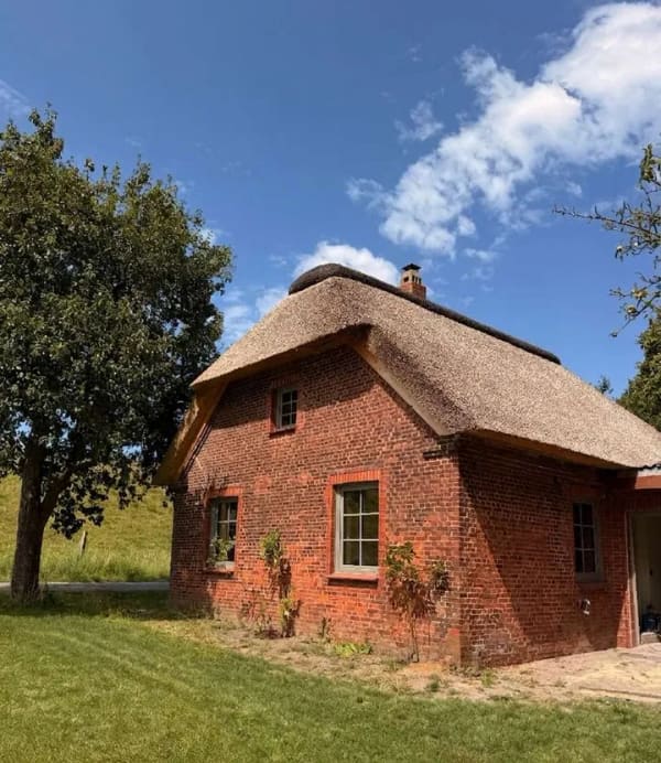 Immobilie in Bahrenfleth - Charmantes Reetdach - Cottage direkt am Deich – Ein einzigartiges Projekt mit viel Potenzial - Bild 1