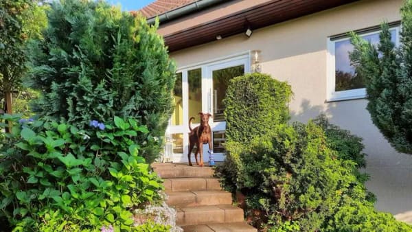 Immobilie in Leidersbach - BOGSCH Immobilien - Einziehen statt Bauen – Ihr neues Zuhause mit gr. Garten und viel Lebensqualität - Bild 0