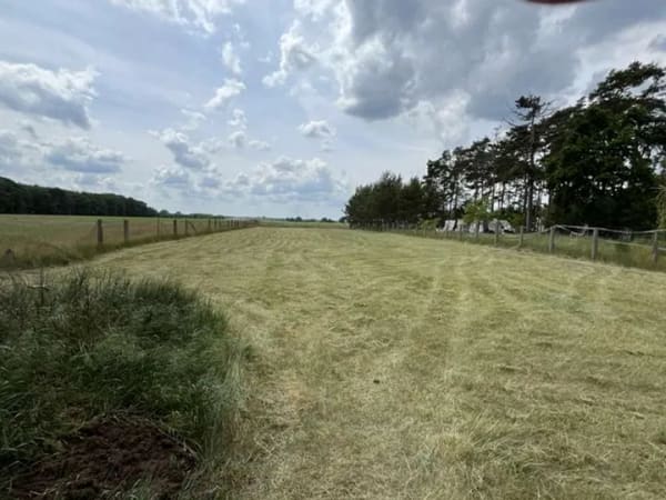 Immobilie in Jerichow - Wohnen in einer ruhigen dörflichen Atmosphäre und die Möglichkeit zur gärtnerischen Nutzung - Bild 4