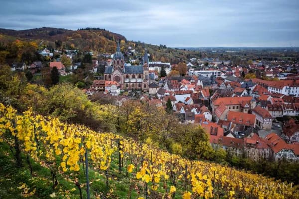 Immobilie in Heppenheim - An der Bergstraße - 1 Zimmer-Wohnung mit Terrasse   - Bild 0