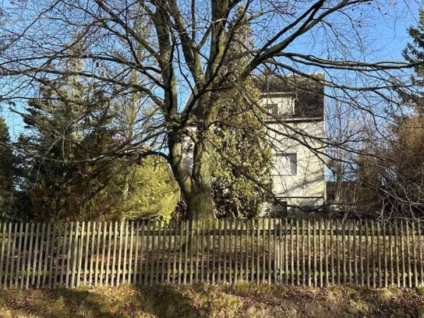Immobilie in Triebel - 4 km von Oelsnitz i.V.: Gemütliches Einfamilienhaus in idyllischer Lage - Bild 1