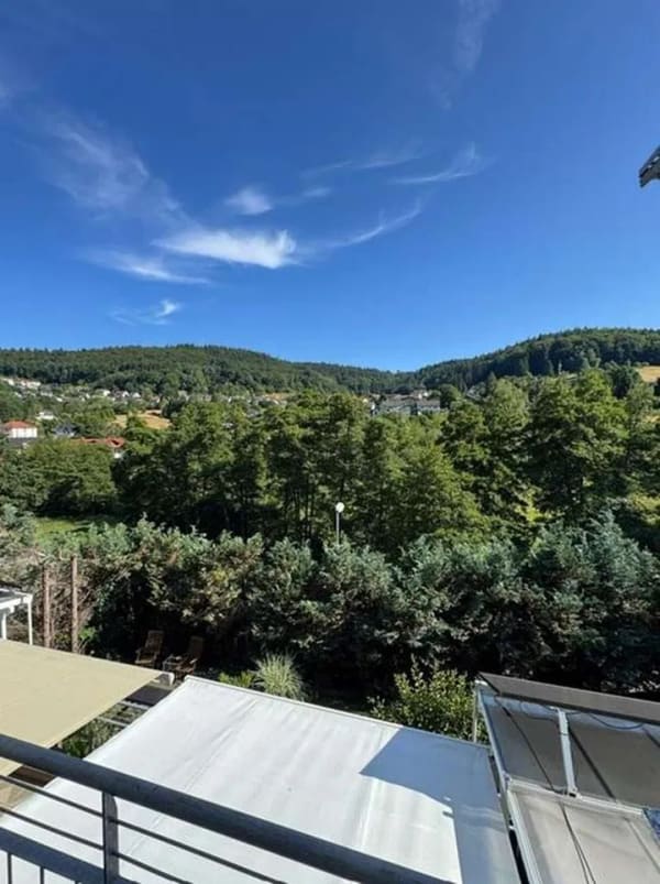 Immobilie in Wilhelmsfeld - +++Provisions- und Bezugsfrei! +++ BJ 1996+++2 Zi-Wohnung mit Balkon und Einbauküche+++ - Bild 1