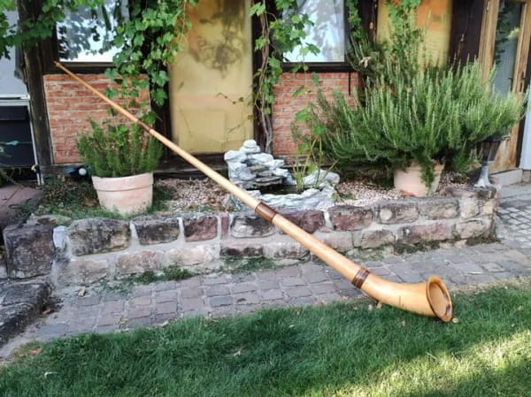 Immobilie in Insheim - 1-2Familienhaus mit Hof und Garten
Grundstück nach "WEG" geteilt - Bild 1