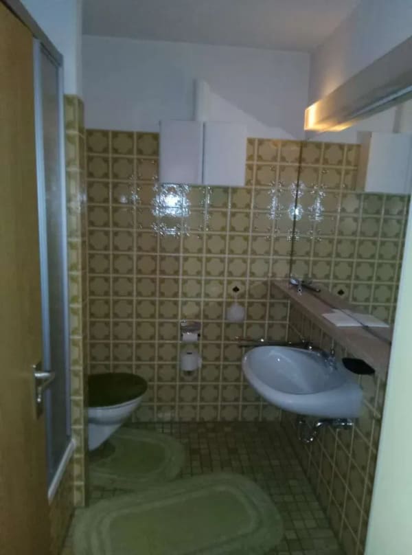 Immobilie in Haidmühle - 1-Zimmer Appartement mit Südbalkon - Bild 2
