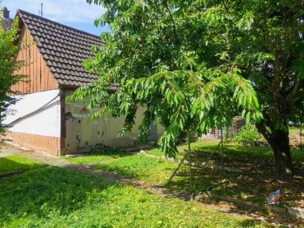 Immobilie in Gondelsheim - Haus mit schönem Grundstück - Mehrgenerationenwohnen möglich - Bild 4
