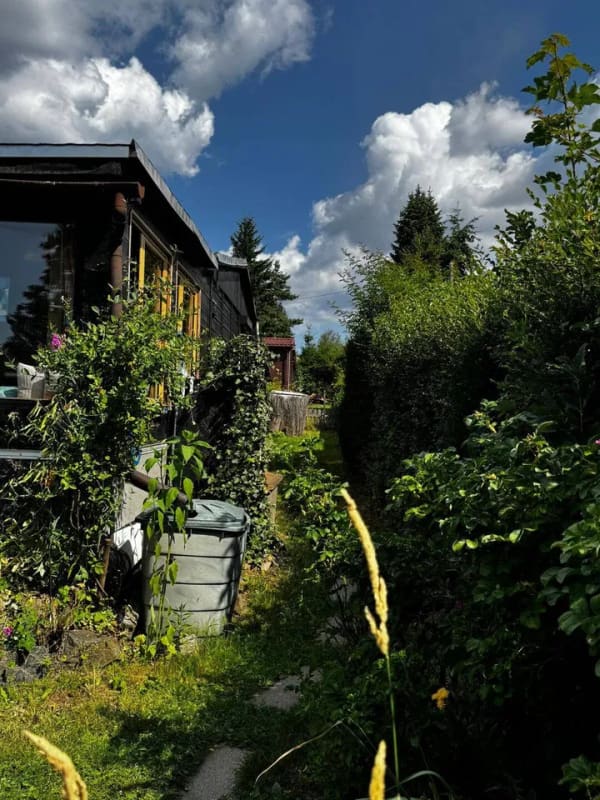 Immobilie in Harzgerode - Großzüger Bungalow/Feriengrundstück  - Bild 1