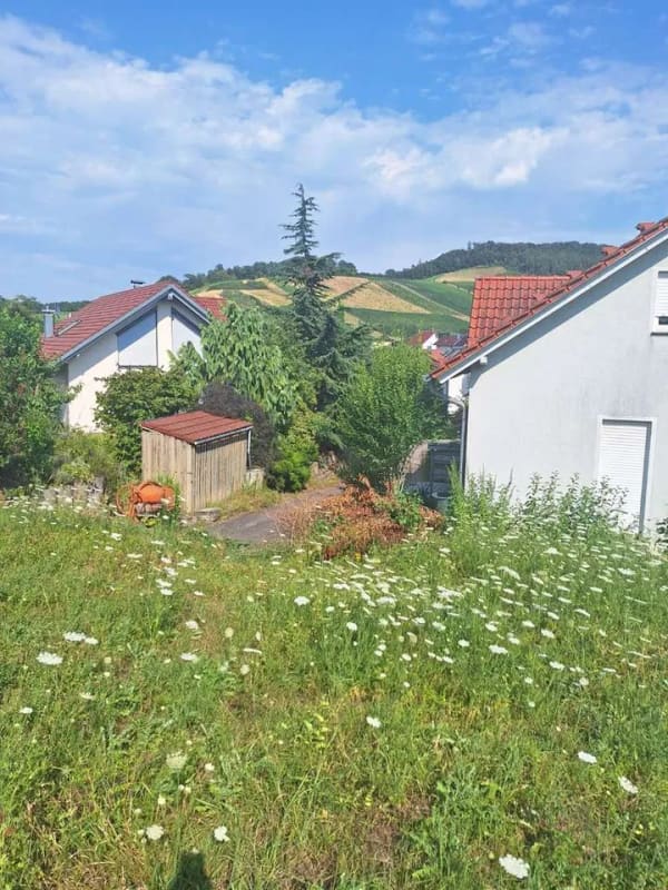 Immobilie in Löwenstein - Ihr Traum wird Wahr mit Scanhaus. Erst BAUEN-dann ZAHLEN! - Bild 3