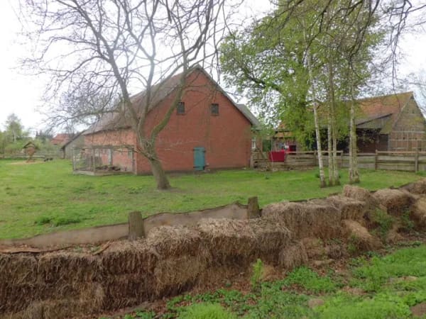 Immobilie in Hassel (Weser) - Haus in Hassel (Weser) - Bild 3