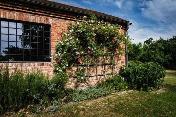 Immobilie in Großwoltersdorf - Exklusives Landhaus mit historischem Charakter - stilvolles Wohnen im Naturpark Stechlin-Ruppiner La - Bild 3
