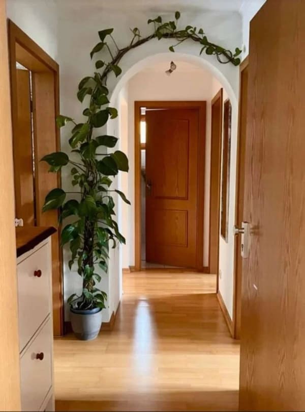 Immobilie in Holzkirchen -  3-Zimmer-Wohnung in Holzkirchen ohne Makler - Bild 1
