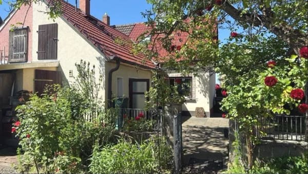Immobilie in Zerbst/Anhalt - Kleines Domizil in Zerbst! - Bild 4