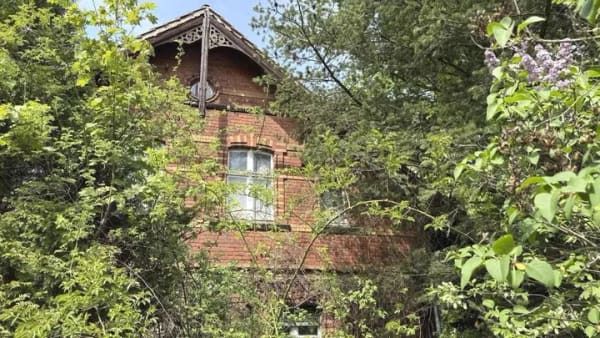 Immobilie in Spremberg - Die Natur im Blick - Bild 3