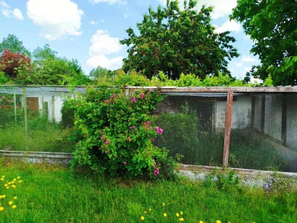Immobilie in Upahl - Ostseenahes Einfamilienhaus in Randlage mit großzügigem Grundstück - Bild 2