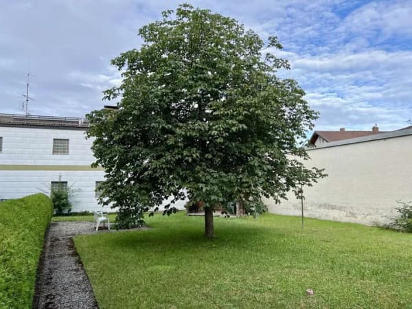 Immobilie in Holzkirchen - Schön geschnittene 2-Zimmer-Wohnung mit Gestaltungspotenzial! - Bild 3