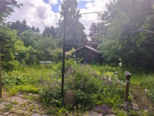 Immobilie in Barkelsby - Kleines Einfamilienhaus in Barkelsby bei Eckernförde - Bild 2